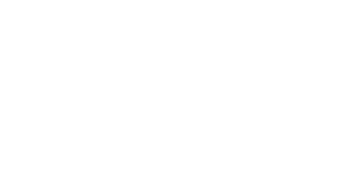 Negro Fashion